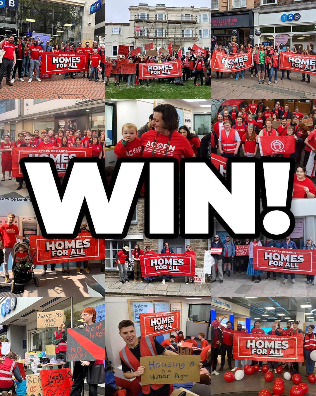 TSB campaign win!