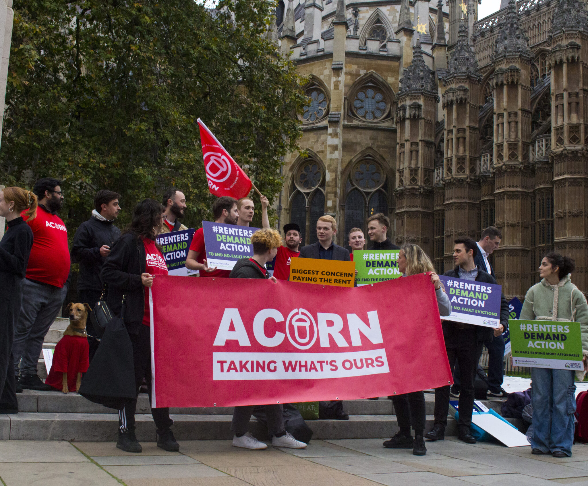Acorn Rnd About ACORN – ACORN